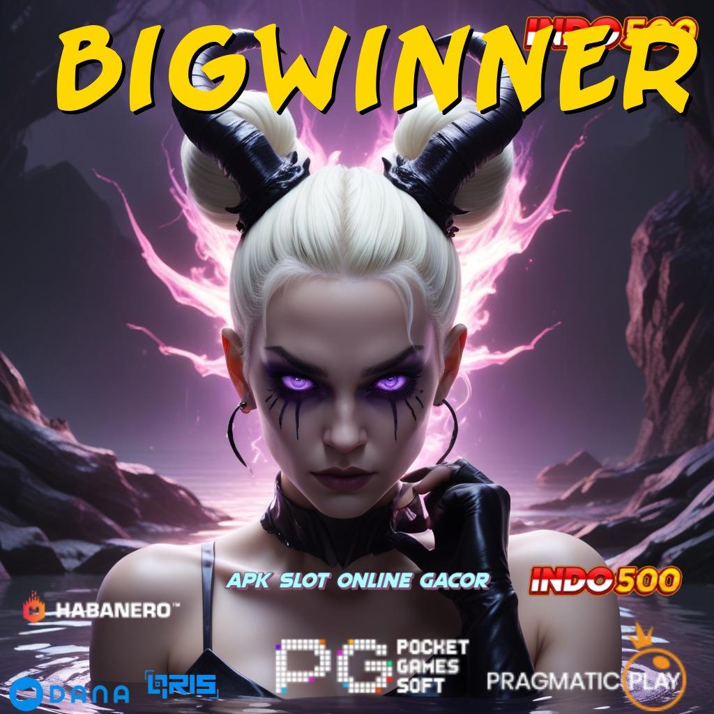 Bigwinner